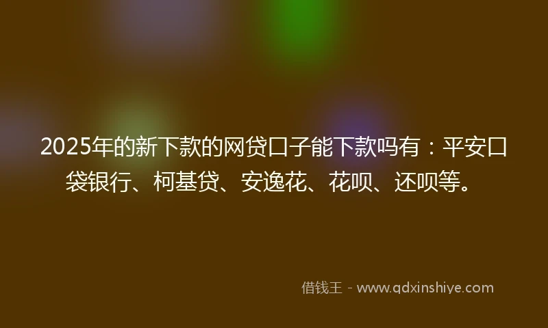 2025年的新下款的网贷口子能下款吗有：平安口袋银行、柯基贷、安逸花、花呗、还呗等。