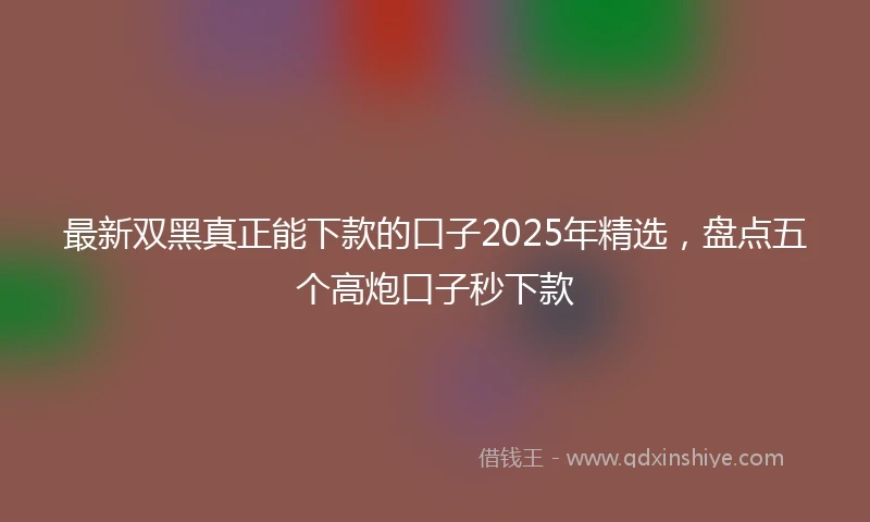 最新双黑真正能下款的口子2025年精选，盘点五个高炮口子秒下款