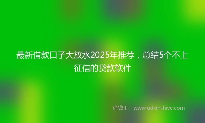 最新借款口子大放水2025年推荐，总结5个不上征信的贷款软件