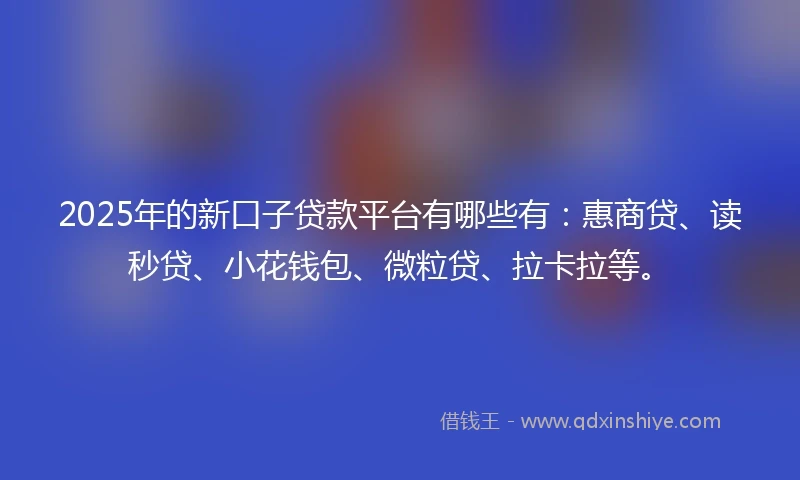 2025年的新口子贷款平台有哪些有：惠商贷、读秒贷、小花钱包、微粒贷、拉卡拉等。