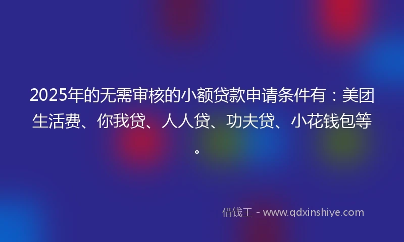 2025年的无需审核的小额贷款申请条件有：美团生活费、你我贷、人人贷、功夫贷、小花钱包等。