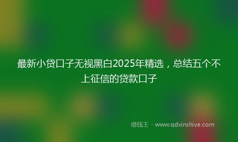 最新小贷口子无视黑白2025年精选，总结五个不上征信的贷款口子