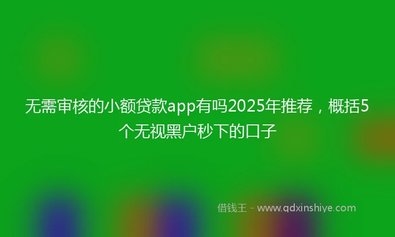 无需审核的小额贷款app有吗2025年推荐，概括5个无视黑户秒下的口子
