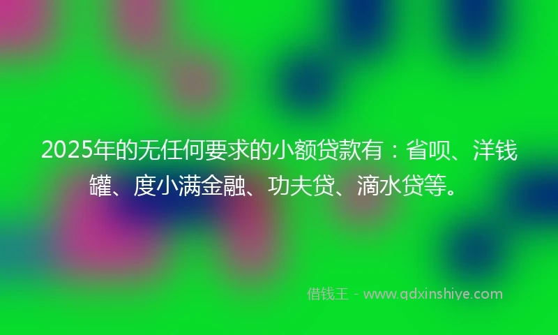 2025年的无任何要求的小额贷款有：省呗、洋钱罐、度小满金融、功夫贷、滴水贷等。