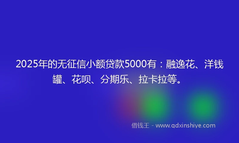 2025年的无征信小额贷款5000有：融逸花、洋钱罐、花呗、分期乐、拉卡拉等。