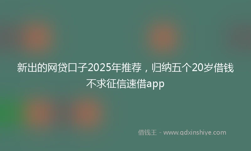 新出的网贷口子2025年推荐，归纳五个20岁借钱不求征信速借app