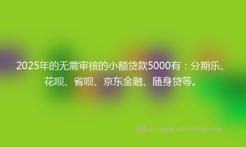 2025年的无需审核的小额贷款5000有：分期乐、花呗、省呗、京东金融、随身贷等。