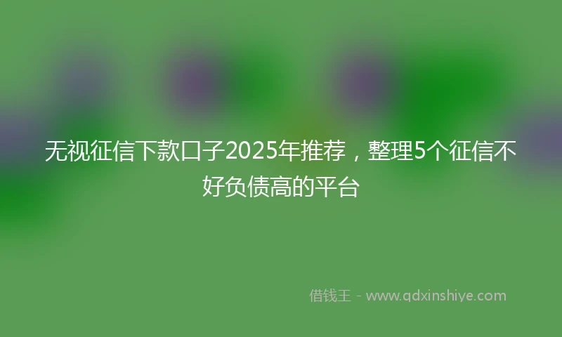 无视征信下款口子2025年推荐，整理5个征信不好负债高的平台