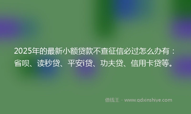2025年的最新小额贷款不查征信必过怎么办有：省呗、读秒贷、平安i贷、功夫贷、信用卡贷等。