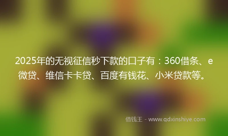 2025年的无视征信秒下款的口子有：360借条、e微贷、维信卡卡贷、百度有钱花、小米贷款等。