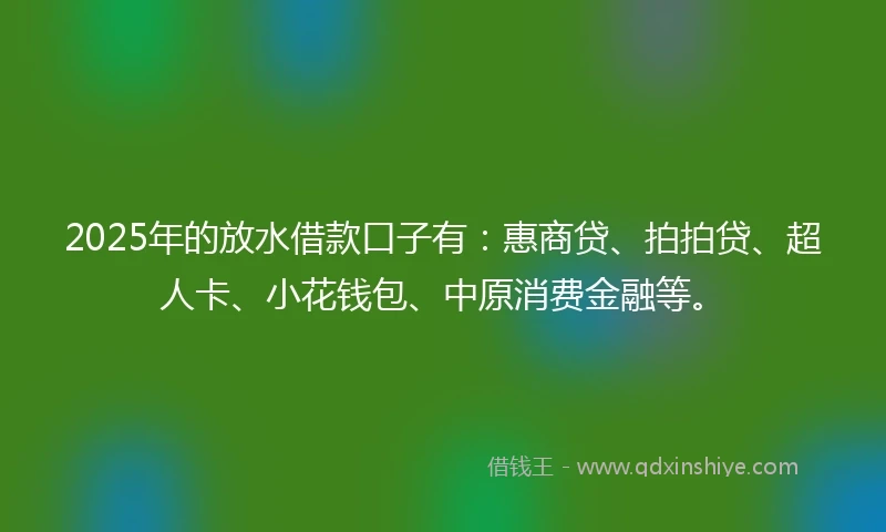 2025年的放水借款口子有：惠商贷、拍拍贷、超人卡、小花钱包、中原消费金融等。