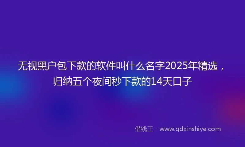无视黑户包下款的软件叫什么名字2025年精选，归纳五个夜间秒下款的14天口子