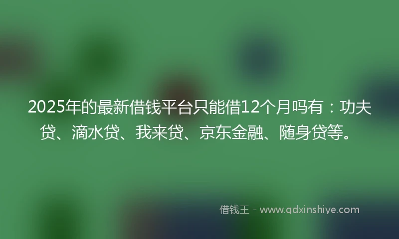 2025年的最新借钱平台只能借12个月吗有：功夫贷、滴水贷、我来贷、京东金融、随身贷等。