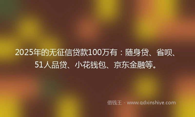 2025年的无征信贷款100万有:随身贷、省呗、51人品贷、小花钱包、京东金融等。