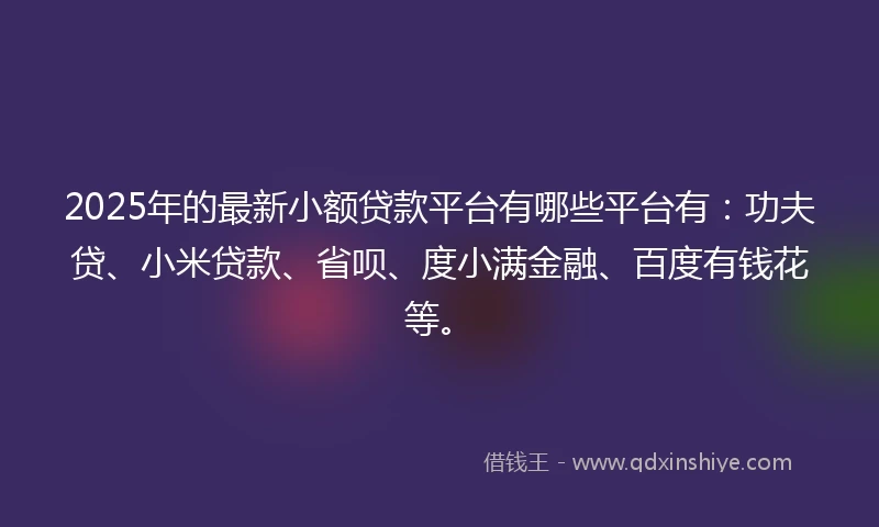 2025年的最新小额贷款平台有哪些平台有：功夫贷、小米贷款、省呗、度小满金融、百度有钱花等。