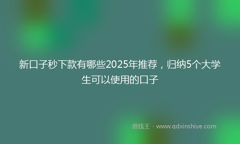 新口子秒下款有哪些2025年推荐，归纳5个大学生可以使用的口子