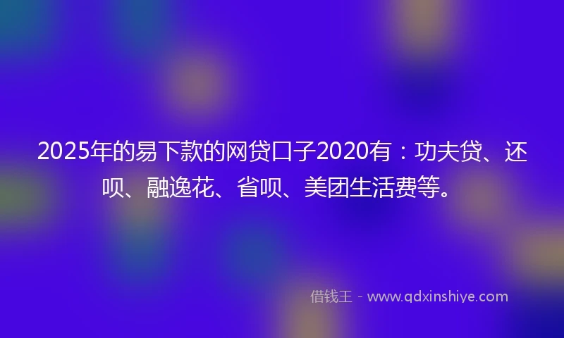 2025年的易下款的网贷口子2020有：功夫贷、还呗、融逸花、省呗、美团生活费等。