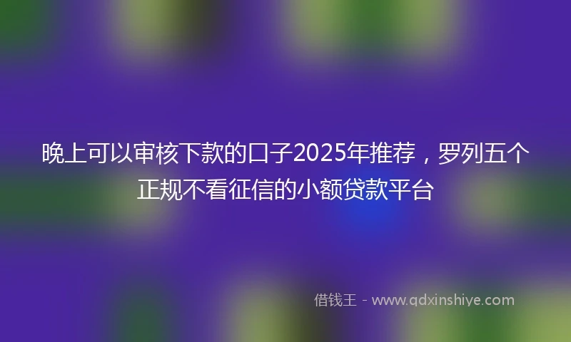 晚上可以审核下款的口子2025年推荐，罗列五个正规不看征信的小额贷款平台