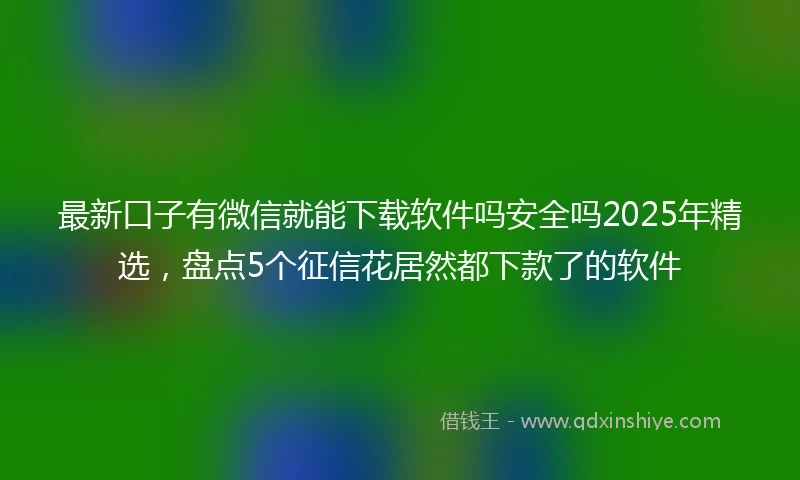 最新口子有微信就能下载软件吗安全吗2025年精选，盘点5个征信花居然都下款了的软件