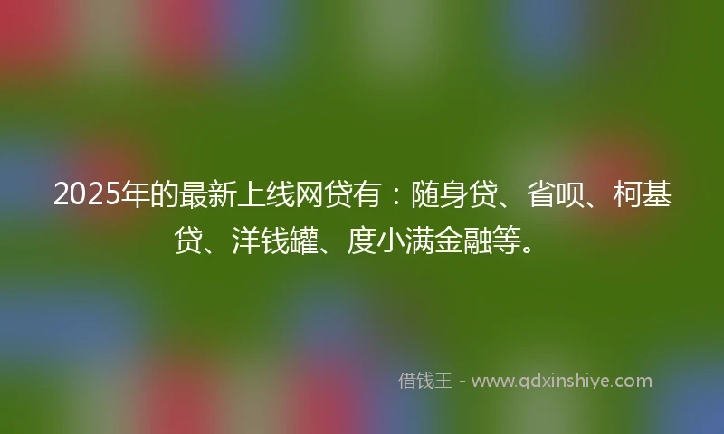 2025年的最新上线网贷有：随身贷、省呗、柯基贷、洋钱罐、度小满金融等。