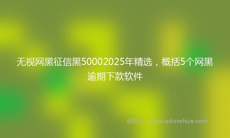 无视网黑征信黑50002025年精选，概括5个网黑逾期下款软件