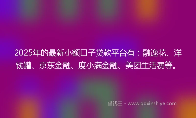2025年的最新小额口子贷款平台有：融逸花、洋钱罐、京东金融、度小满金融、美团生活费等。