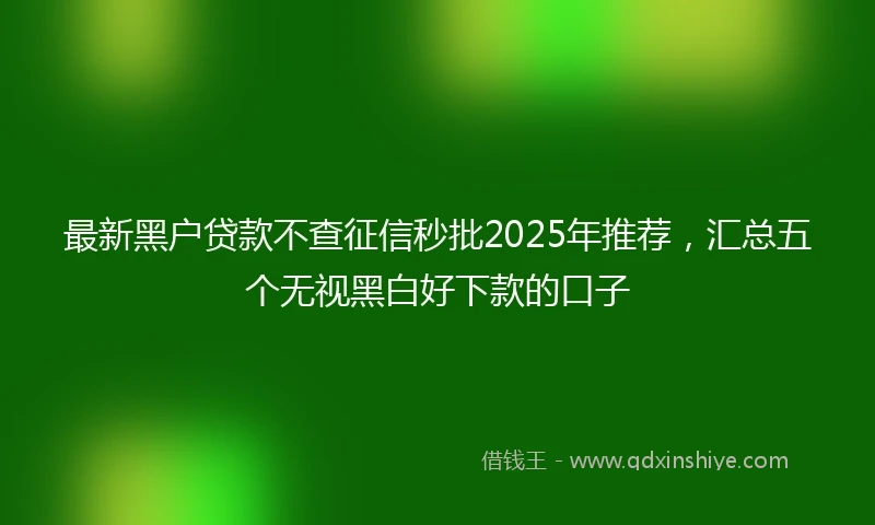 最新黑户贷款不查征信秒批2025年推荐，汇总五个无视黑白好下款的口子