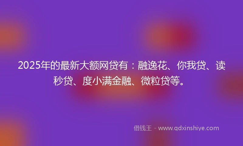 2025年的最新大额网贷有：融逸花、你我贷、读秒贷、度小满金融、微粒贷等。