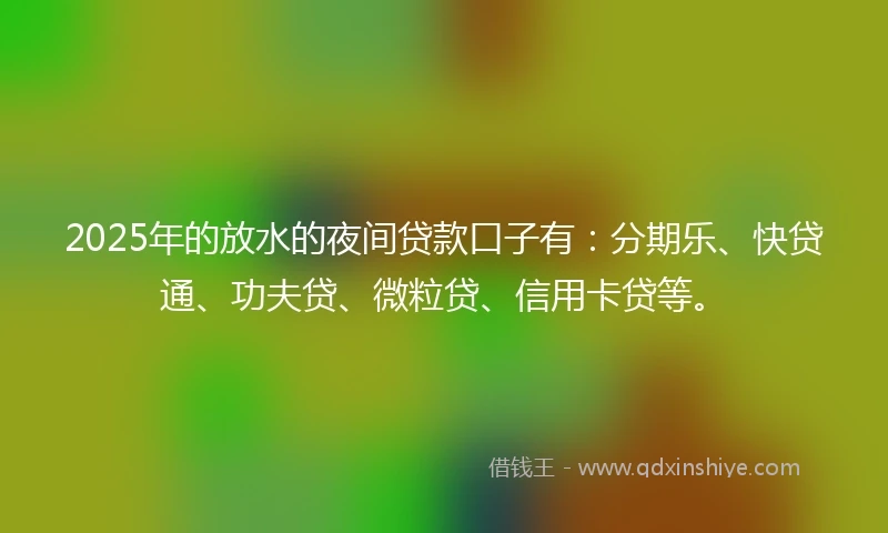 2025年的放水的夜间贷款口子有：分期乐、快贷通、功夫贷、微粒贷、信用卡贷等。