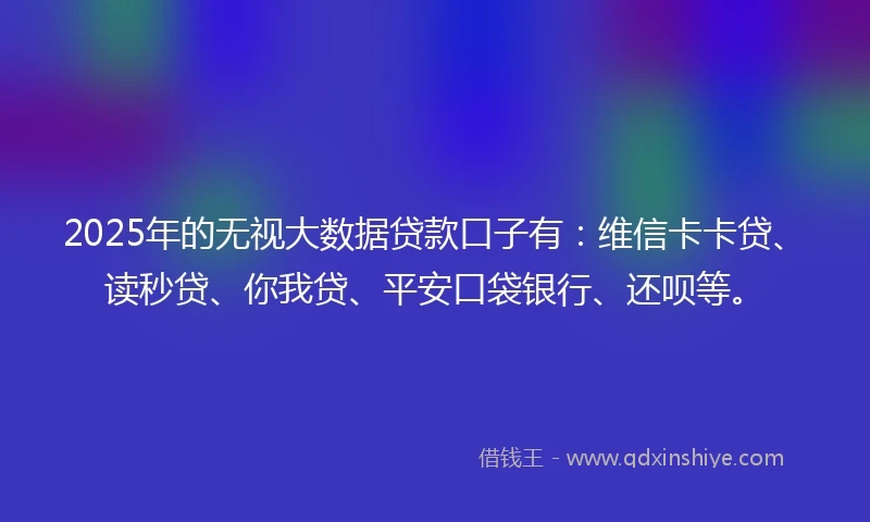 2025年的无视大数据贷款口子有：维信卡卡贷、读秒贷、你我贷、平安口袋银行、还呗等。