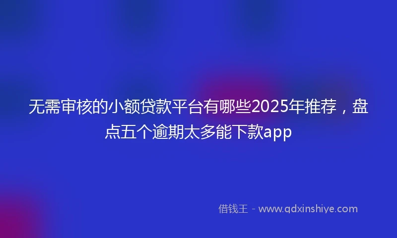 无需审核的小额贷款平台有哪些2025年推荐，盘点五个逾期太多能下款app