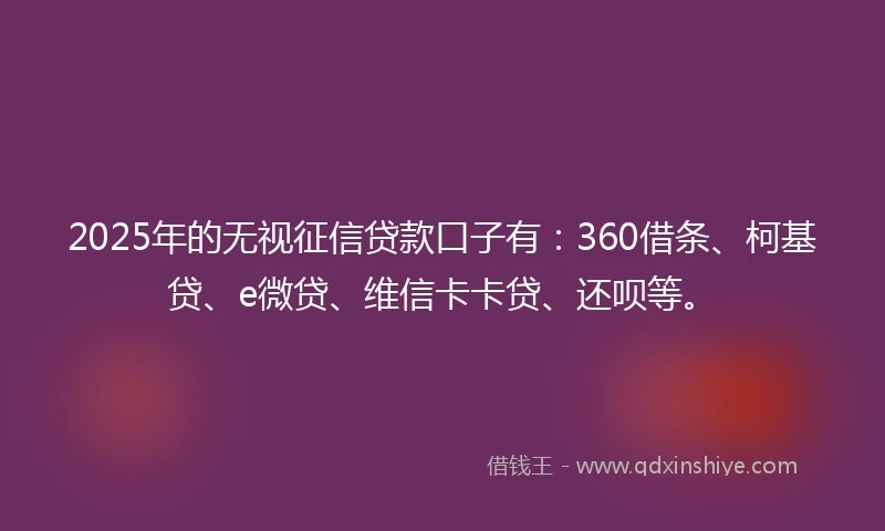 2025年的无视征信贷款口子有：360借条、柯基贷、e微贷、维信卡卡贷、还呗等。