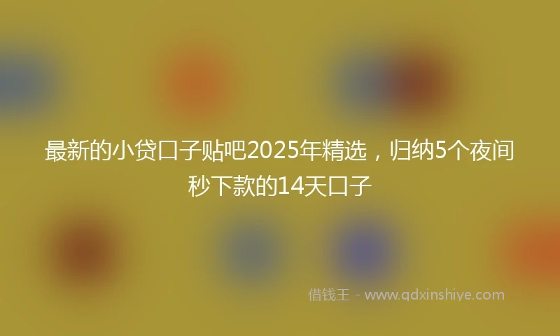 最新的小贷口子贴吧2025年精选，归纳5个夜间秒下款的14天口子