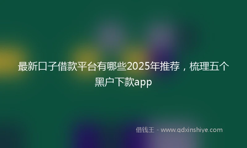 最新口子借款平台有哪些2025年推荐，梳理五个黑户下款app