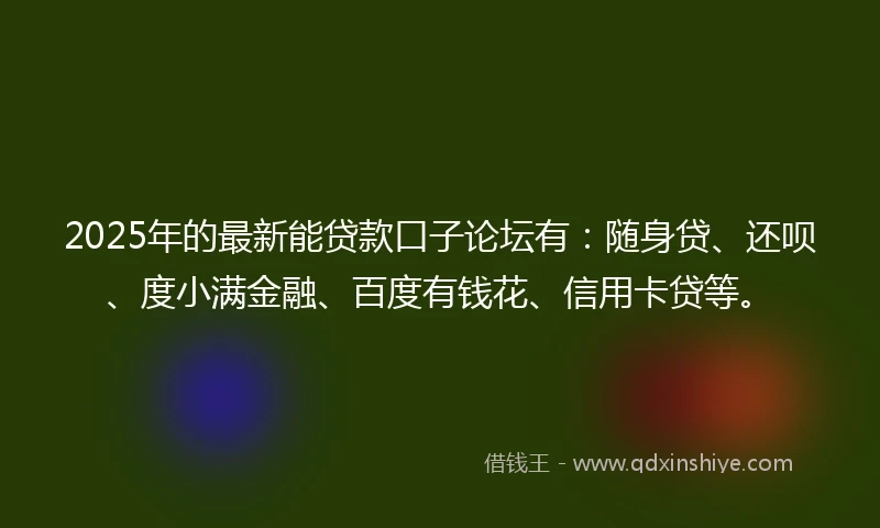 2025年的最新能贷款口子论坛有：随身贷、还呗、度小满金融、百度有钱花、信用卡贷等。