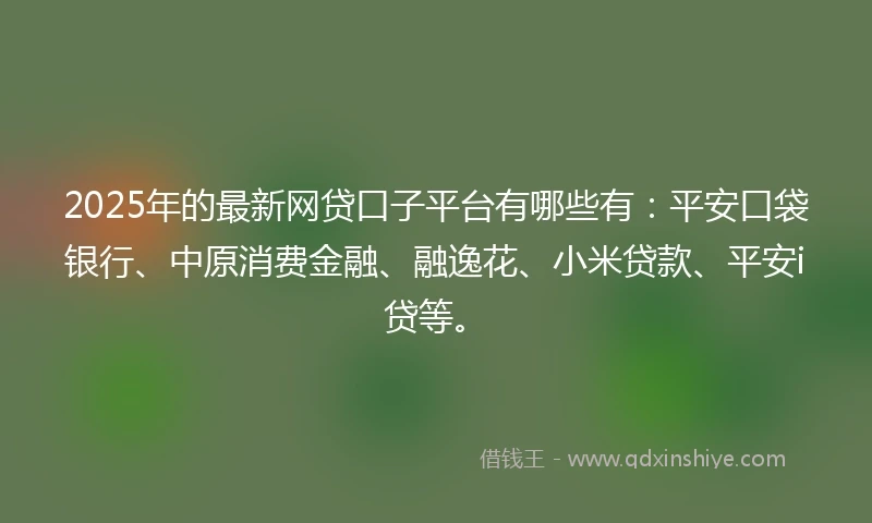2025年的最新网贷口子平台有哪些有：平安口袋银行、中原消费金融、融逸花、小米贷款、平安i贷等。