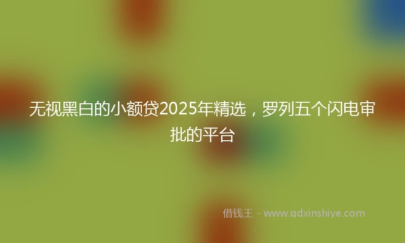 无视黑白的小额贷2025年精选，罗列五个闪电审批的平台