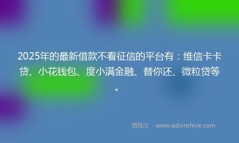 2025年的最新借款不看征信的平台有：维信卡卡贷、小花钱包、度小满金融、替你还、微粒贷等。