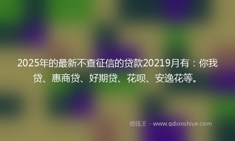 2025年的最新不查征信的贷款20219月有：你我贷、惠商贷、好期贷、花呗、安逸花等。