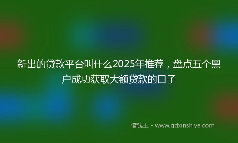 新出的贷款平台叫什么2025年推荐,盘点五个黑户成功获取大额贷款的口子
