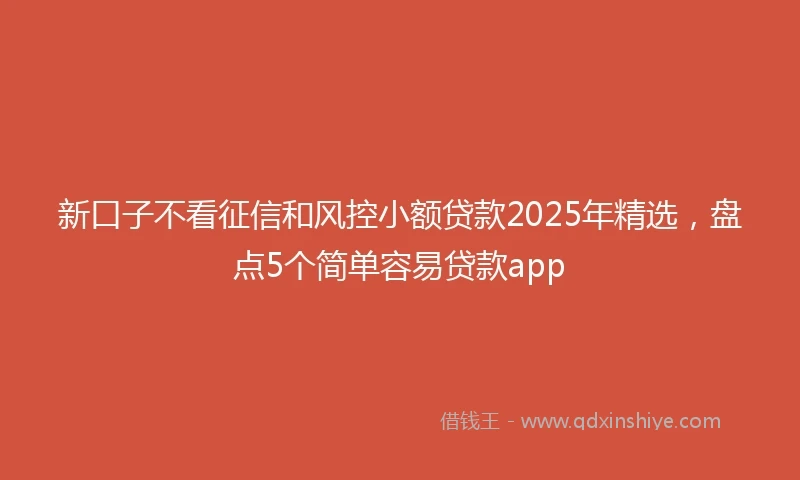 新口子不看征信和风控小额贷款2025年精选，盘点5个简单容易贷款app