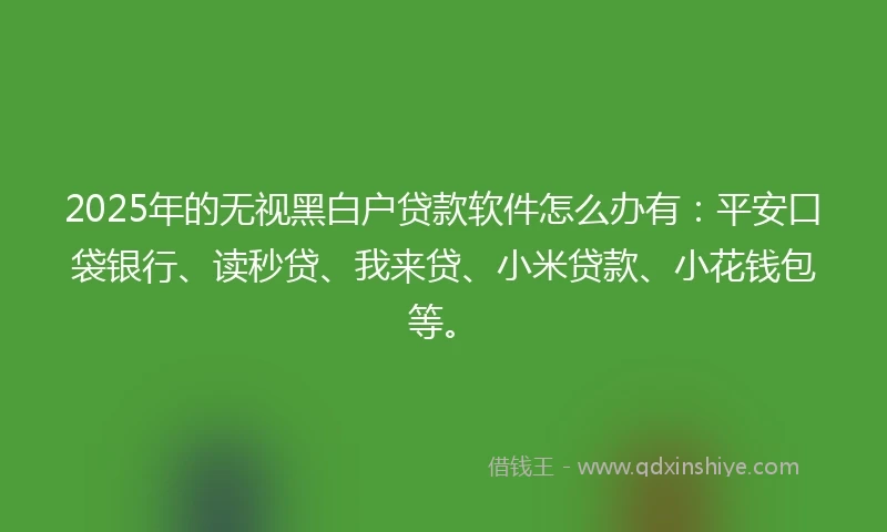 2025年的无视黑白户贷款软件怎么办有：平安口袋银行、读秒贷、我来贷、小米贷款、小花钱包等。