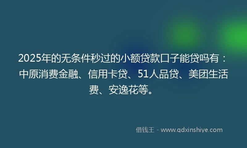 2025年的无条件秒过的小额贷款口子能贷吗有：中原消费金融、信用卡贷、51人品贷、美团生活费、安逸花等。