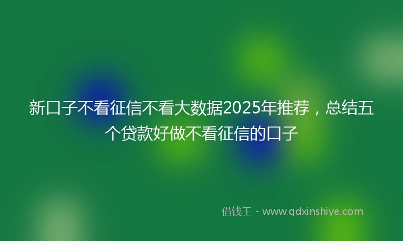 新口子不看征信不看大数据2025年推荐，总结五个贷款好做不看征信的口子