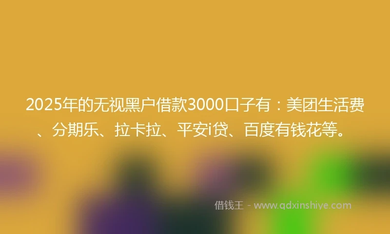 2025年的无视黑户借款3000口子有：美团生活费、分期乐、拉卡拉、平安i贷、百度有钱花等。