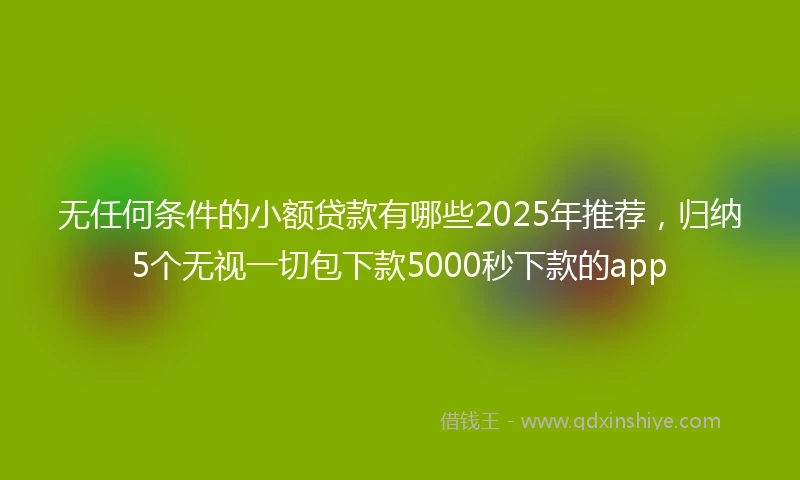 无任何条件的小额贷款有哪些2025年推荐，归纳5个无视一切包下款5000秒下款的app