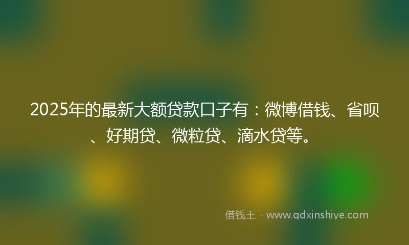 2025年的最新大额贷款口子有：微博借钱、省呗、好期贷、微粒贷、滴水贷等。