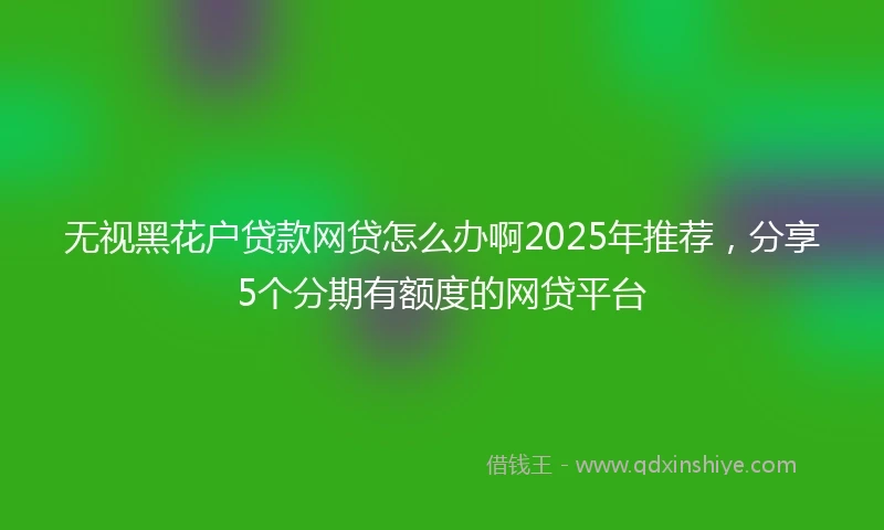 无视黑花户贷款网贷怎么办啊2025年推荐，分享5个分期有额度的网贷平台