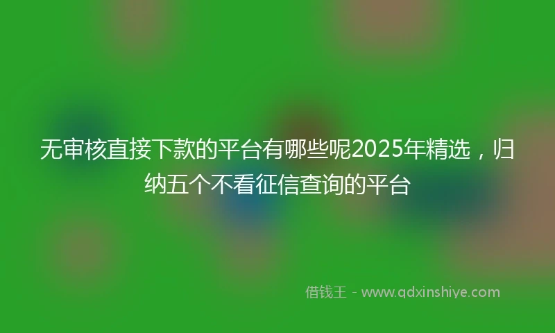 无审核直接下款的平台有哪些呢2025年精选，归纳五个不看征信查询的平台