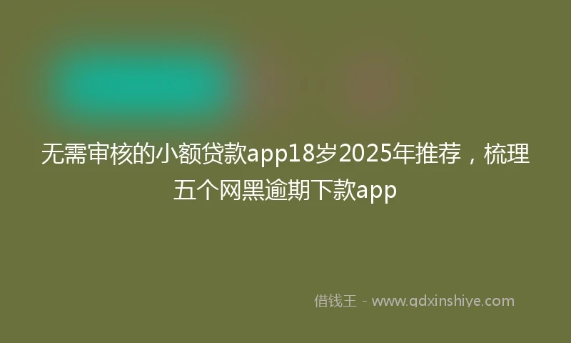 无需审核的小额贷款app18岁2025年推荐，梳理五个网黑逾期下款app